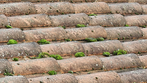 ASC entreprise générale du bâtiment travaux pas cher sur toute la gironde avec devis et déplacement gratuit peinture maçonnerie couverture revêtement de sol et muraux travaux de façade