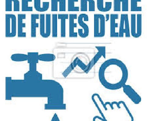 Fuite(s) d'eau :    recherche